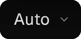The resolution button in the Viewer bar, set to Auto